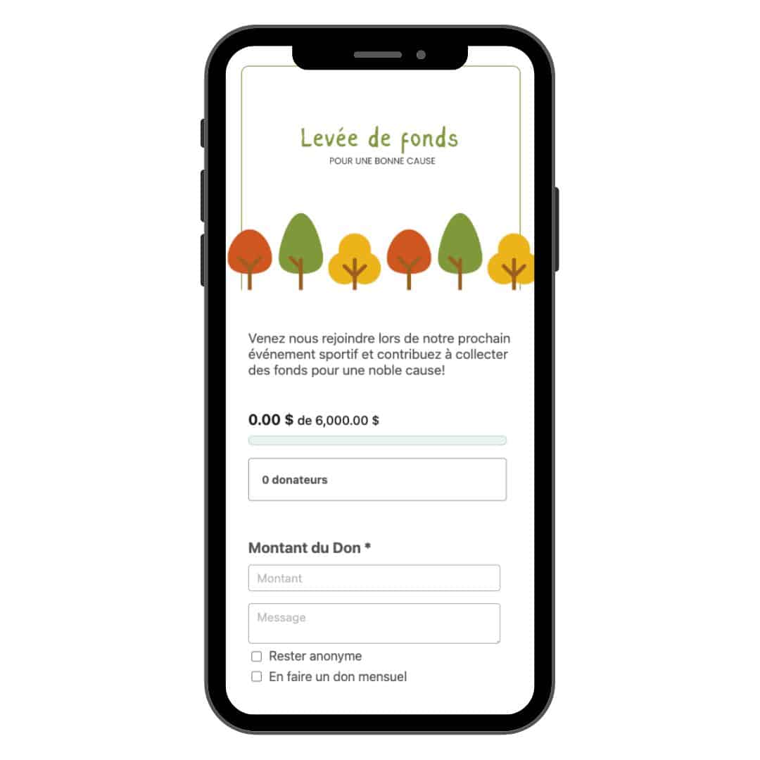 Gestion des dons en ligne