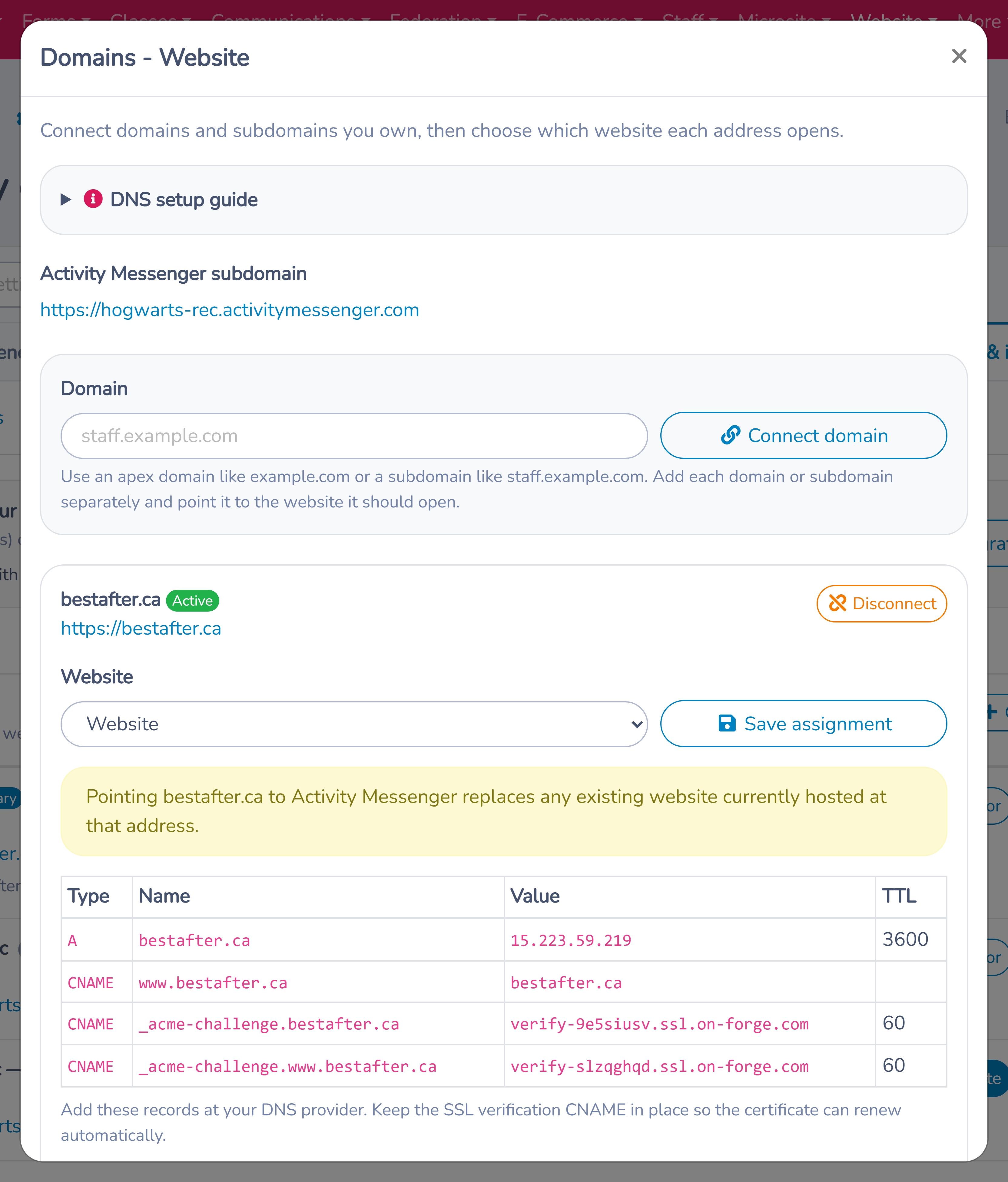 Domain manager with connection status and required DNS records