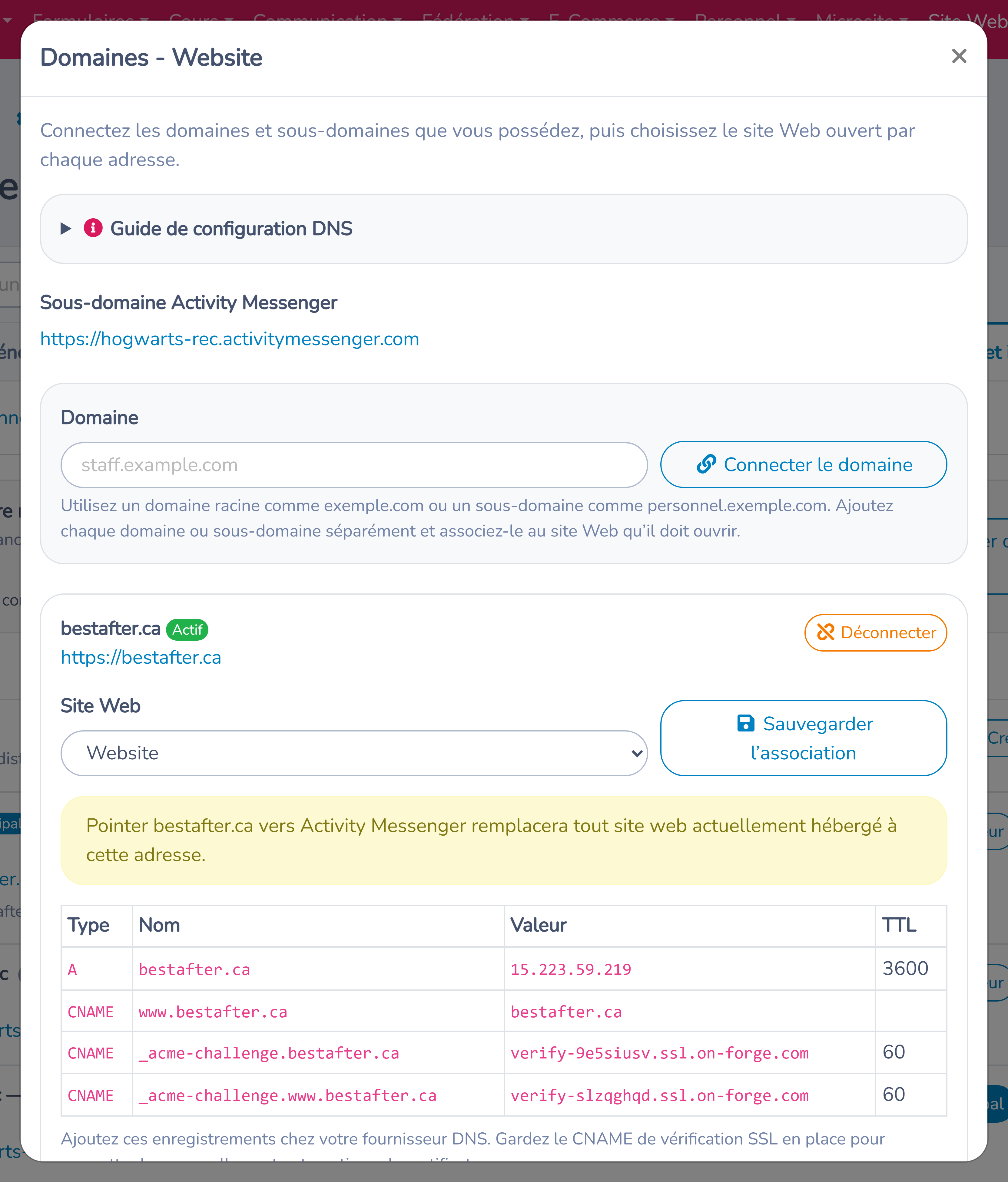Gestionnaire de domaine avec l'état de connexion et les enregistrements DNS requis