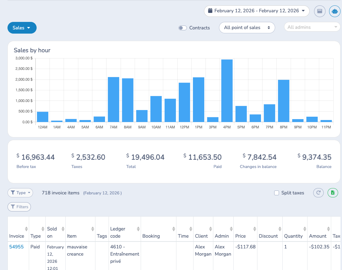 Review invoice-item sales and balances