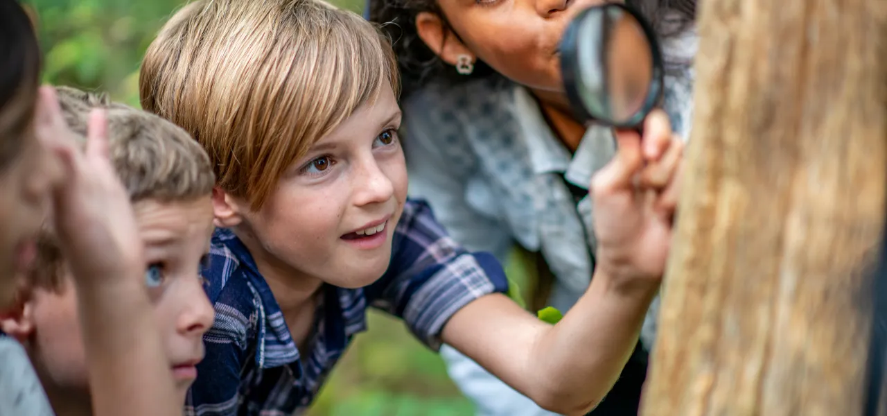 Best Forest School Management Software: A Guide for Outdoor Schools
