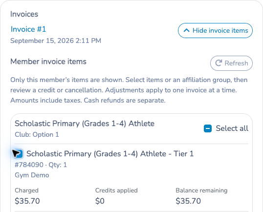 Expanded invoice items inside the member modal, with a selected charge and its remaining balance