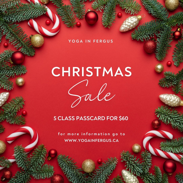 5-class Christmas Special