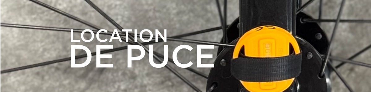 LOCATION DE PUCE