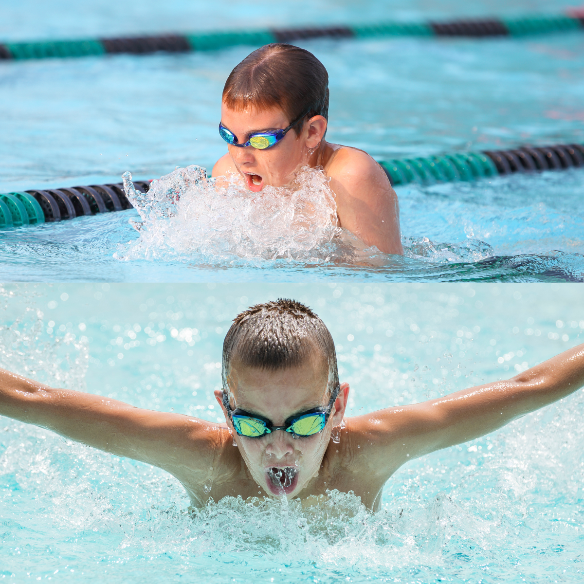 Voir la programmation