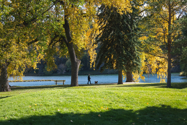 Best Recreation Management Software (Organization, Planning, and Events)