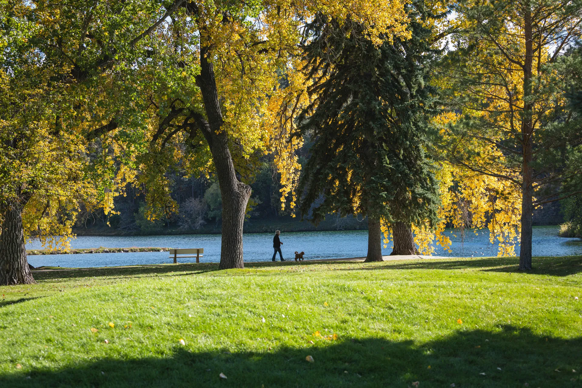 Best Recreation Management Software (Organization, Planning, and Events)