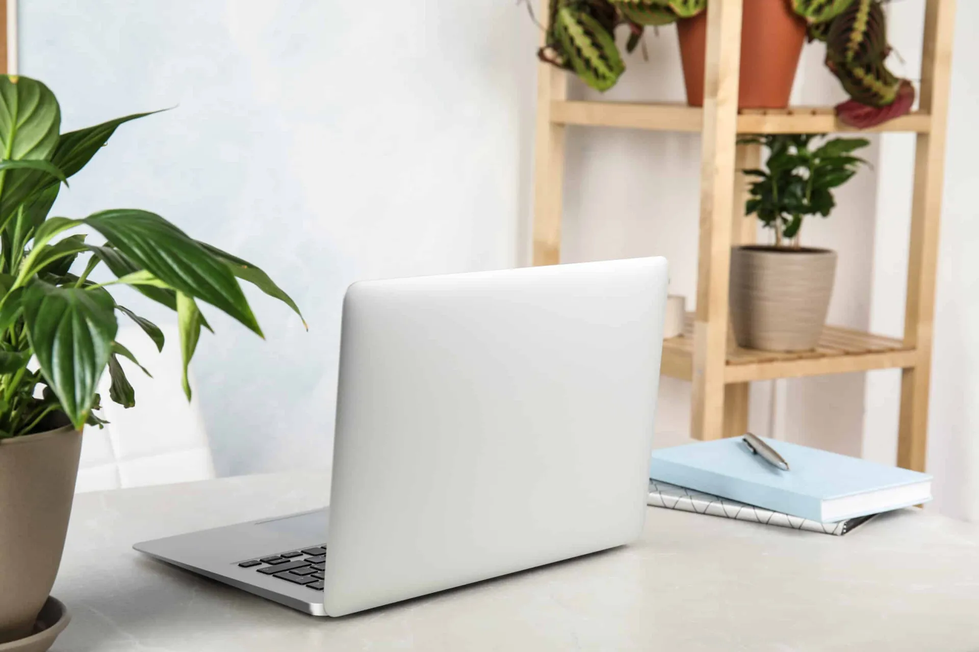 Introducing the Activity Messenger Website Builder
