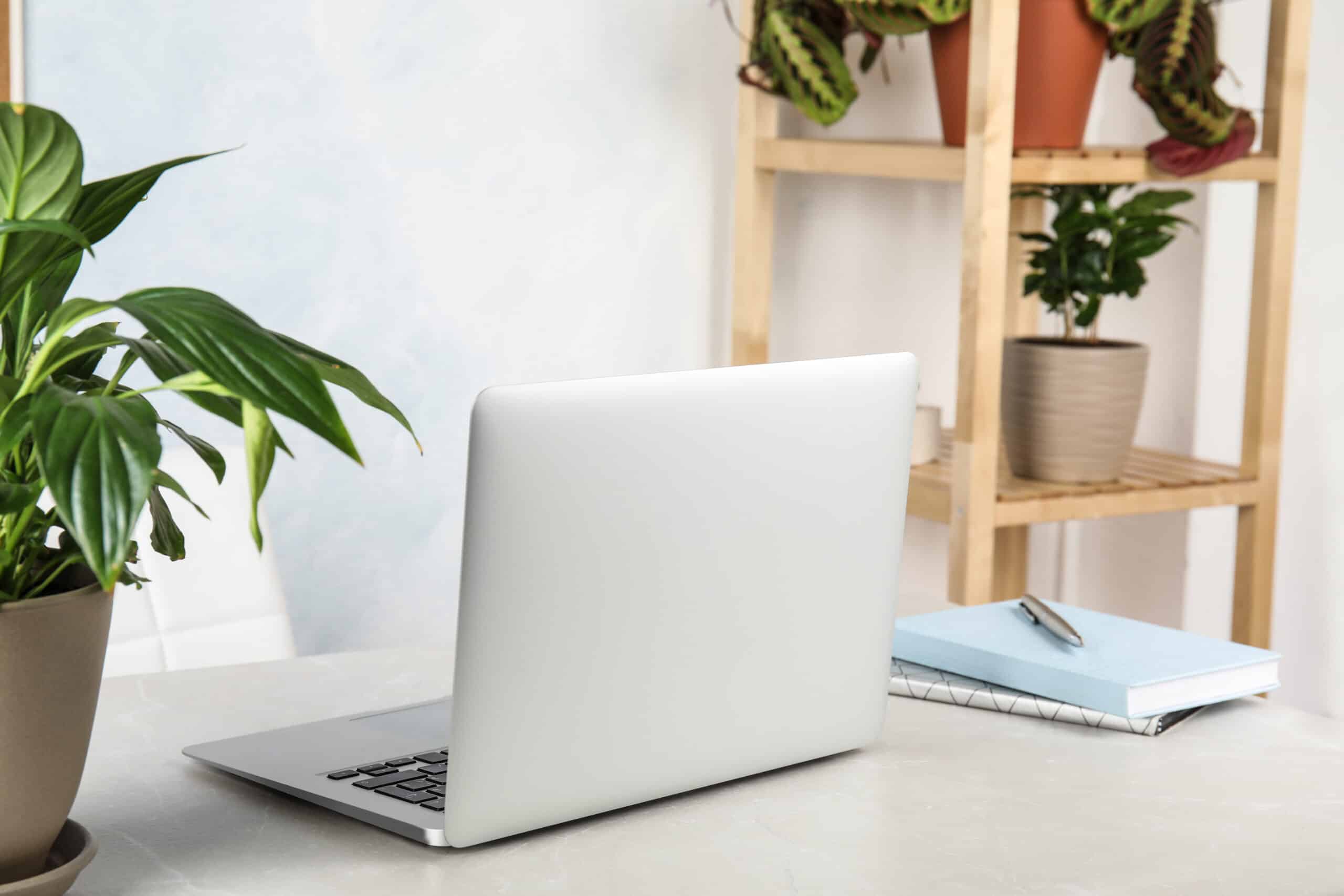 Introducing the Activity Messenger Website Builder