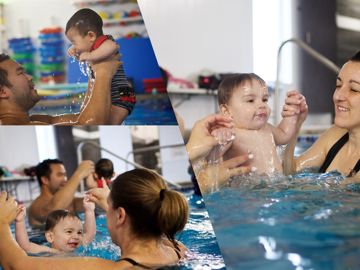 Voir la programmation