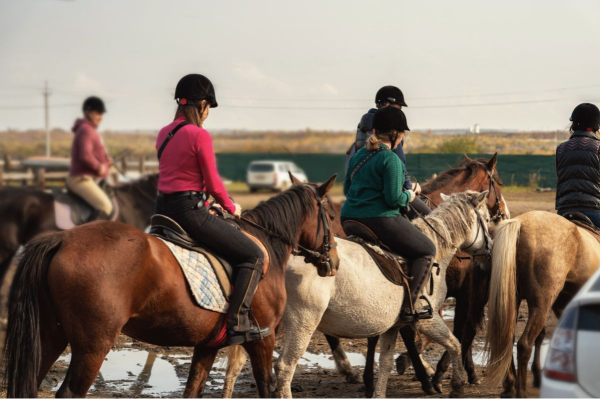 Horse Riding Registration Software with Activity Messenger