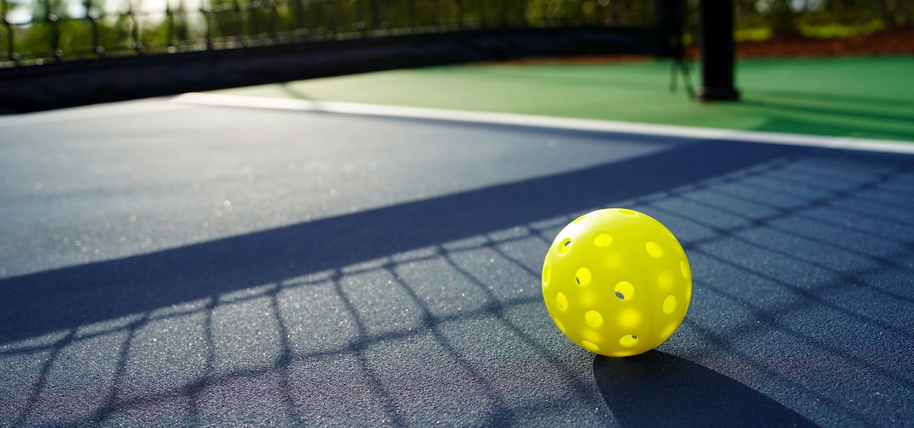 Pickleball Online Liability Waivers (with Template)