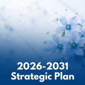 Strategic Plan