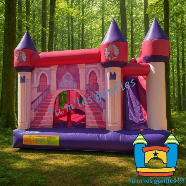 Château des princesses