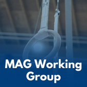 MAG Working Group