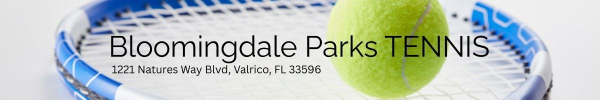 Balm Park Pickleball