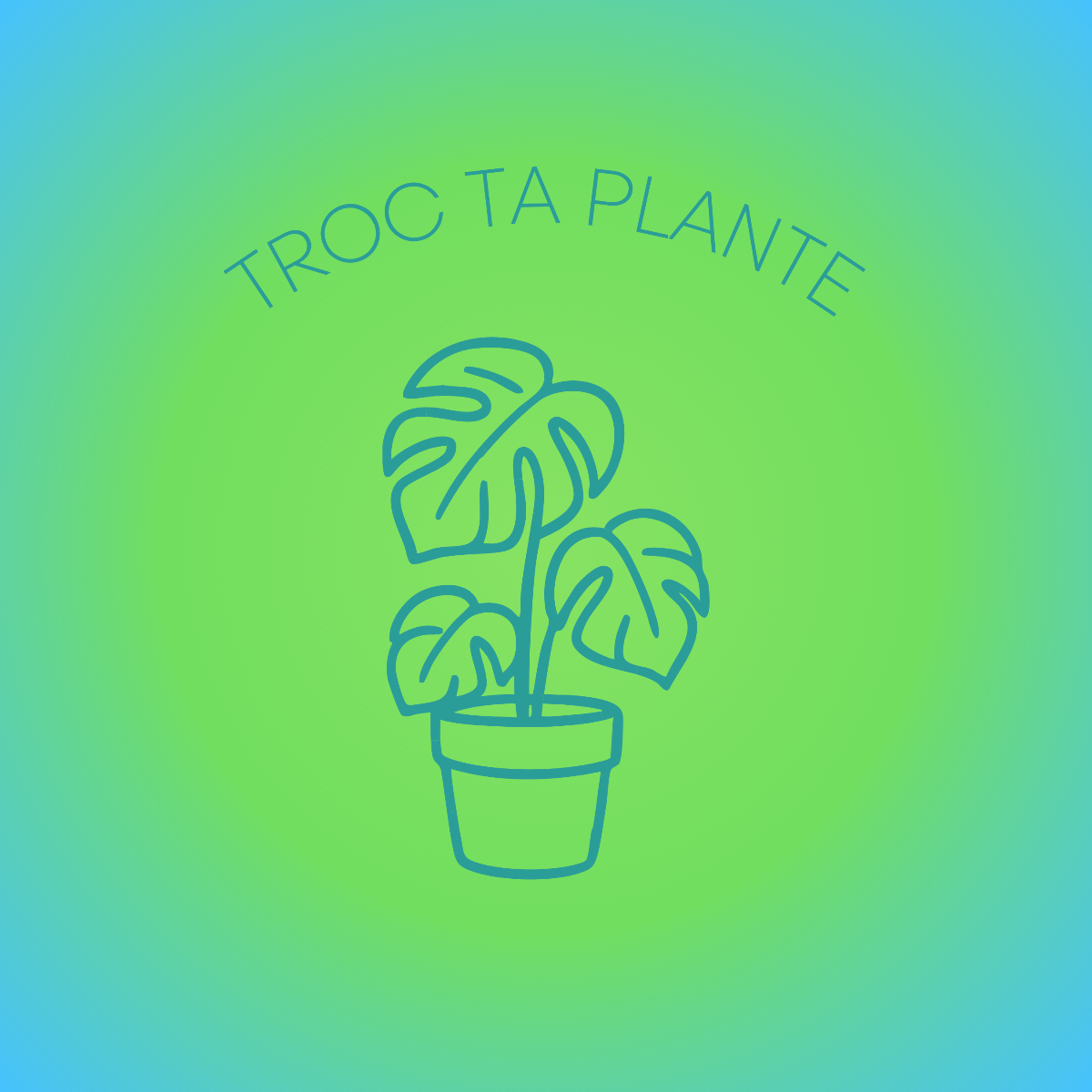 Plus de détails sur l'activité Troc ta plante