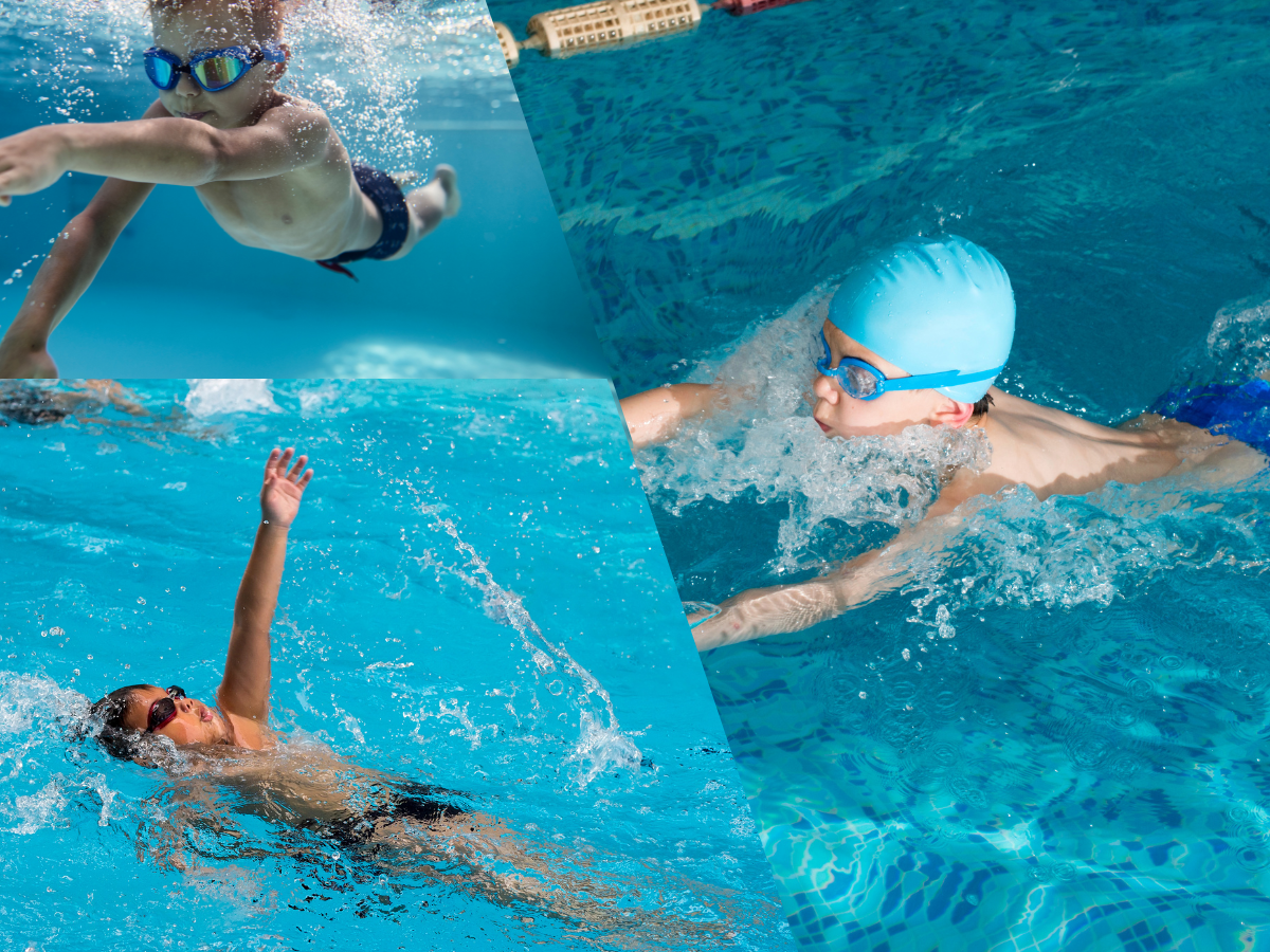 Voir la programmation