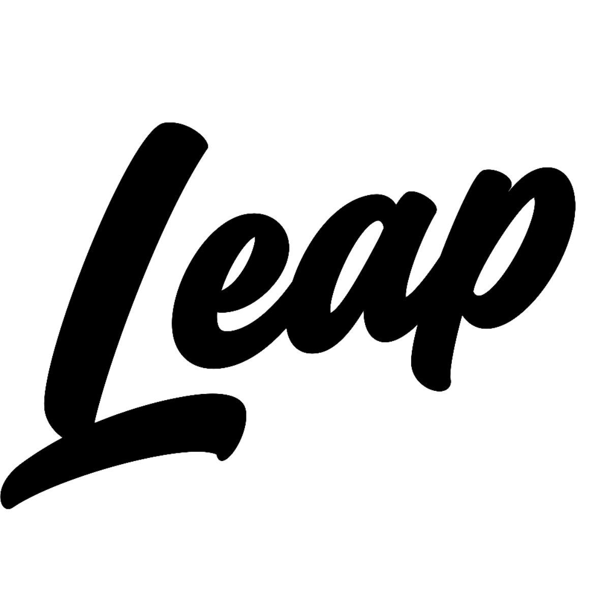Leap Studios Inc.
