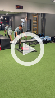 sled-push-pull